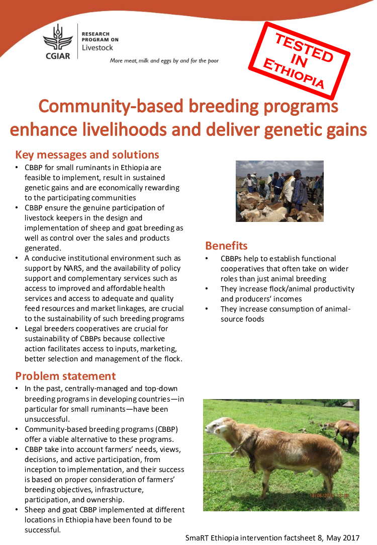 Community-based breeding programs enhance livelihoods and deliver genetic  gains | CGIAR Research Program on Livestock